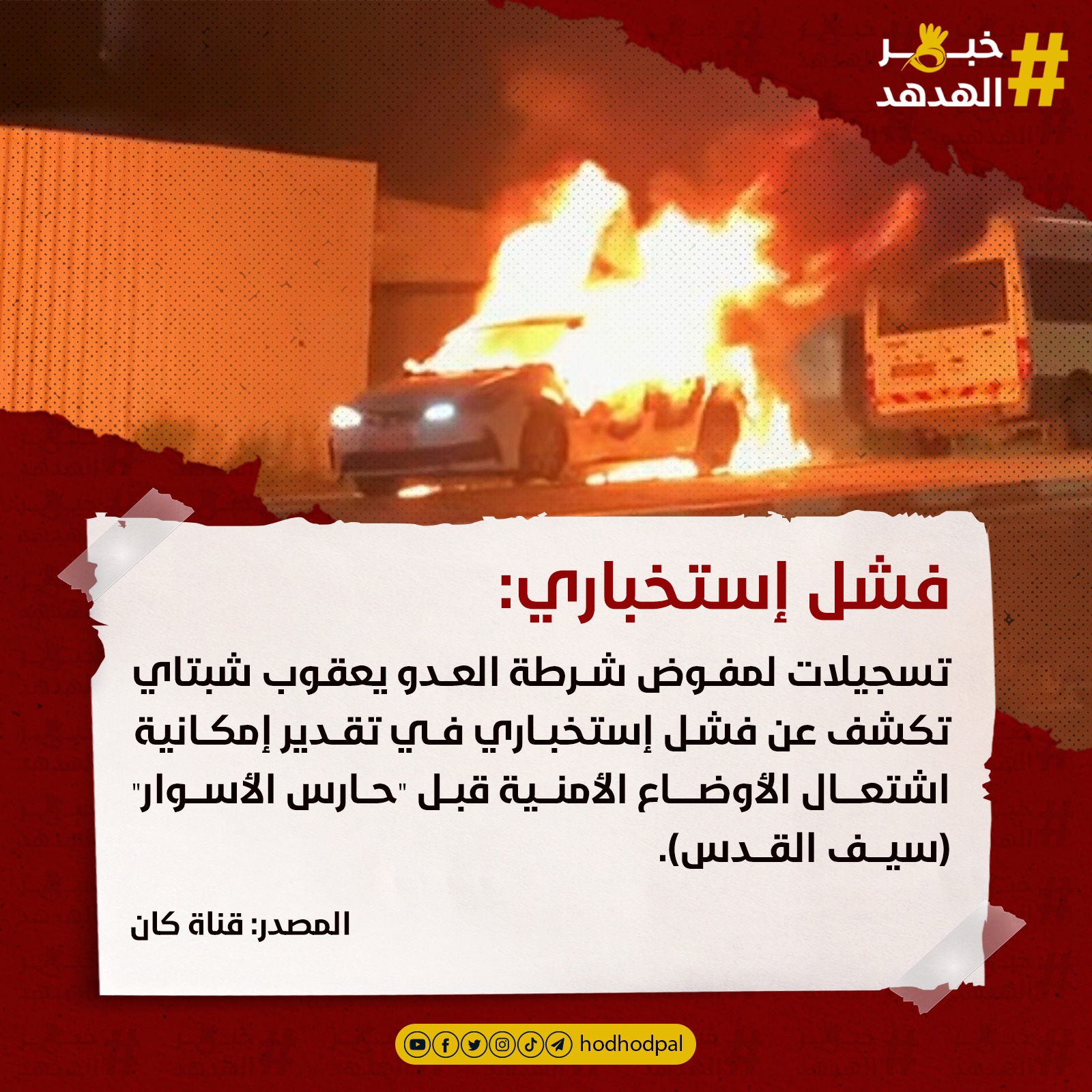 #خبر_الهدهد