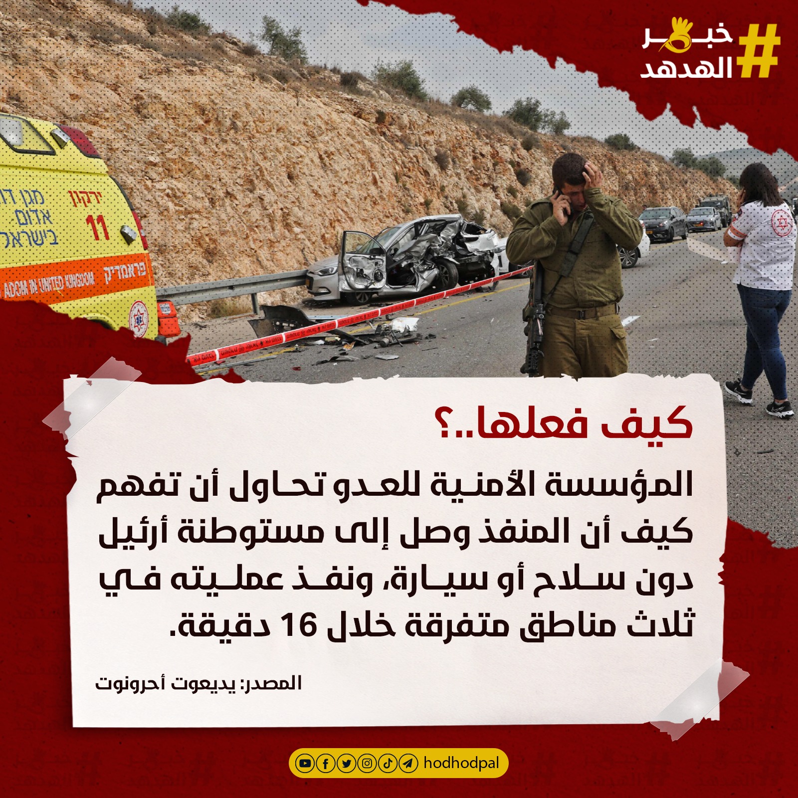 #خبر_الهدهد