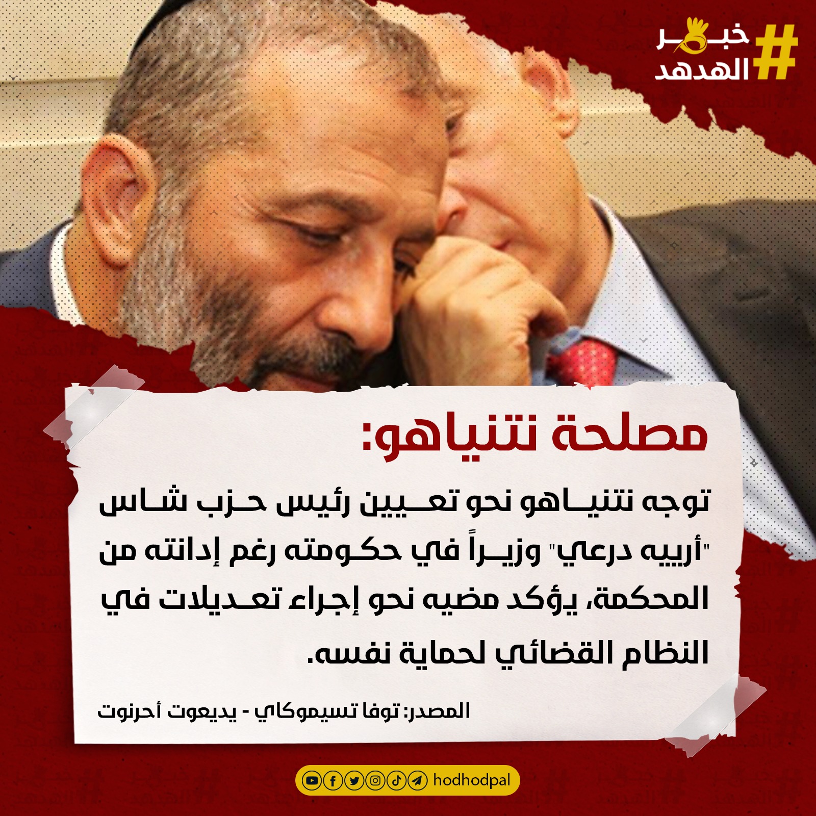 #خبر_الهدهد