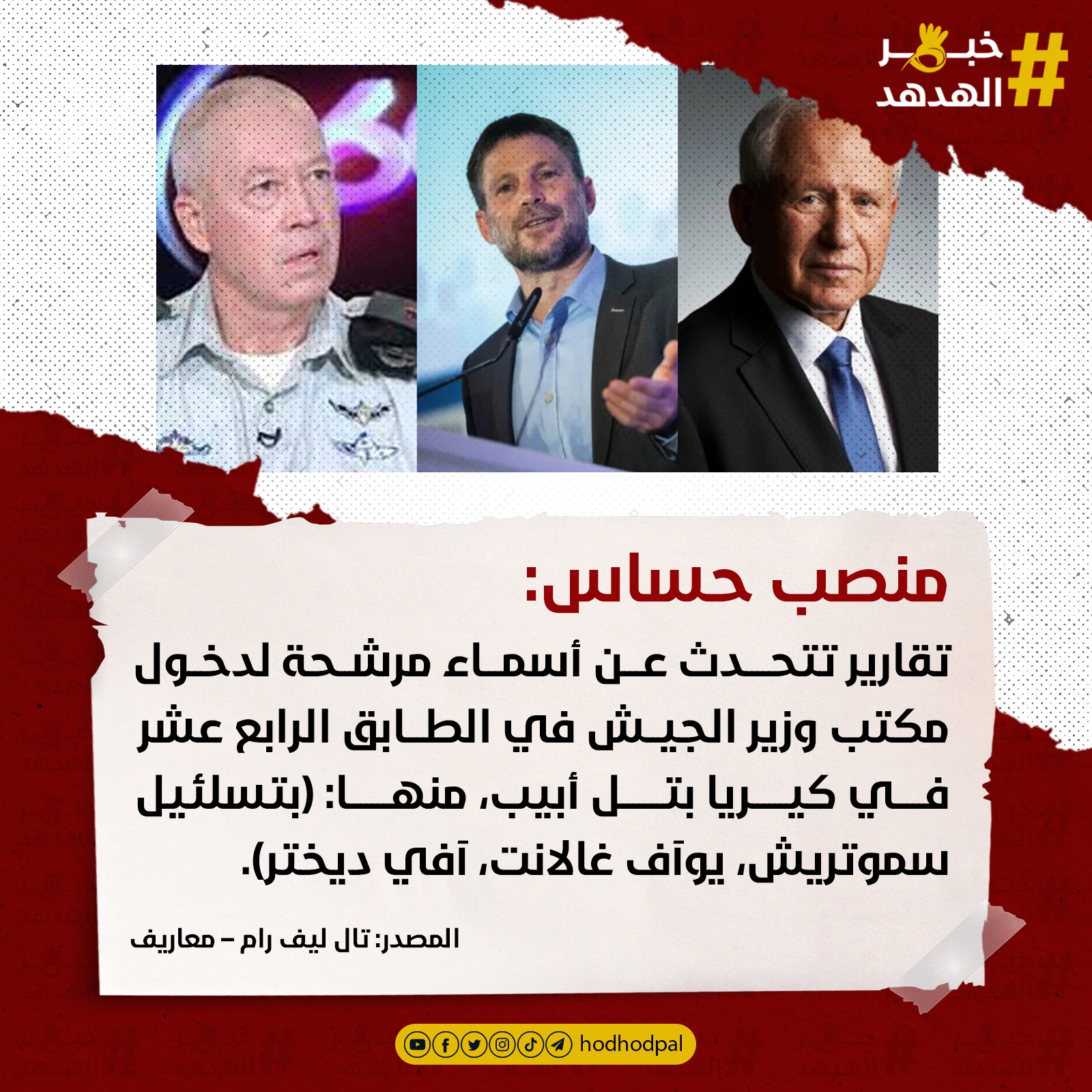 #خبر_الهدهد