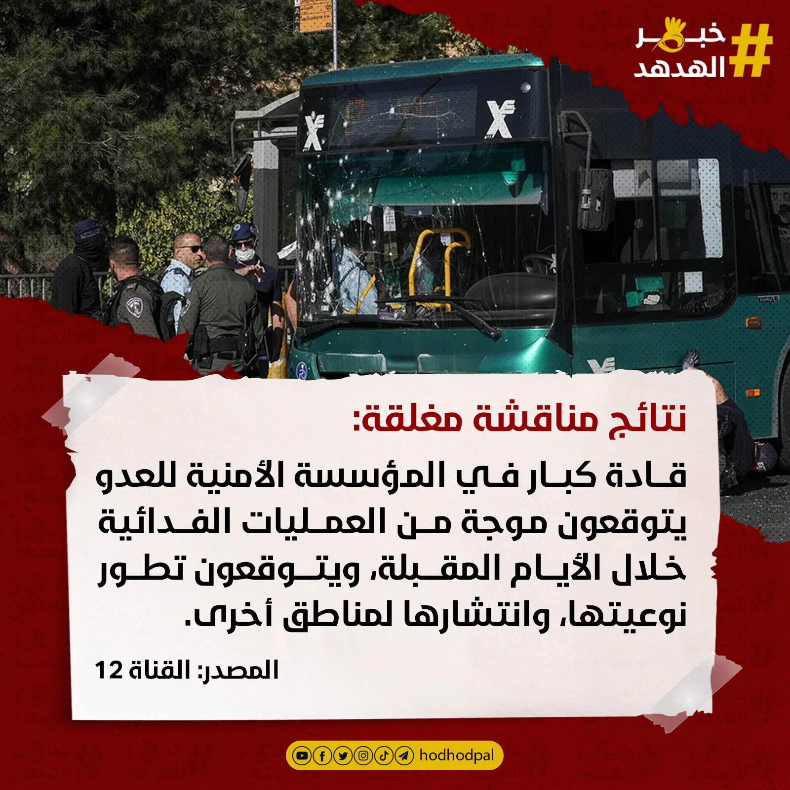 #خبر_الهدهد