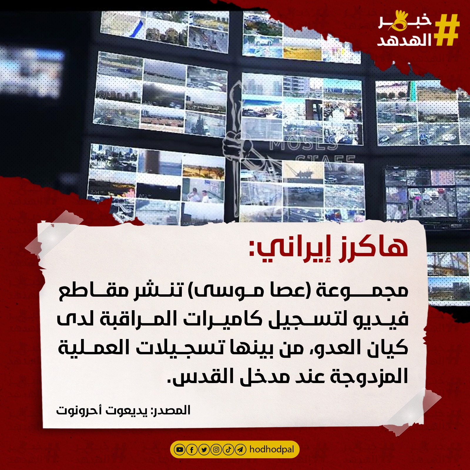 #خبر_الهدهد