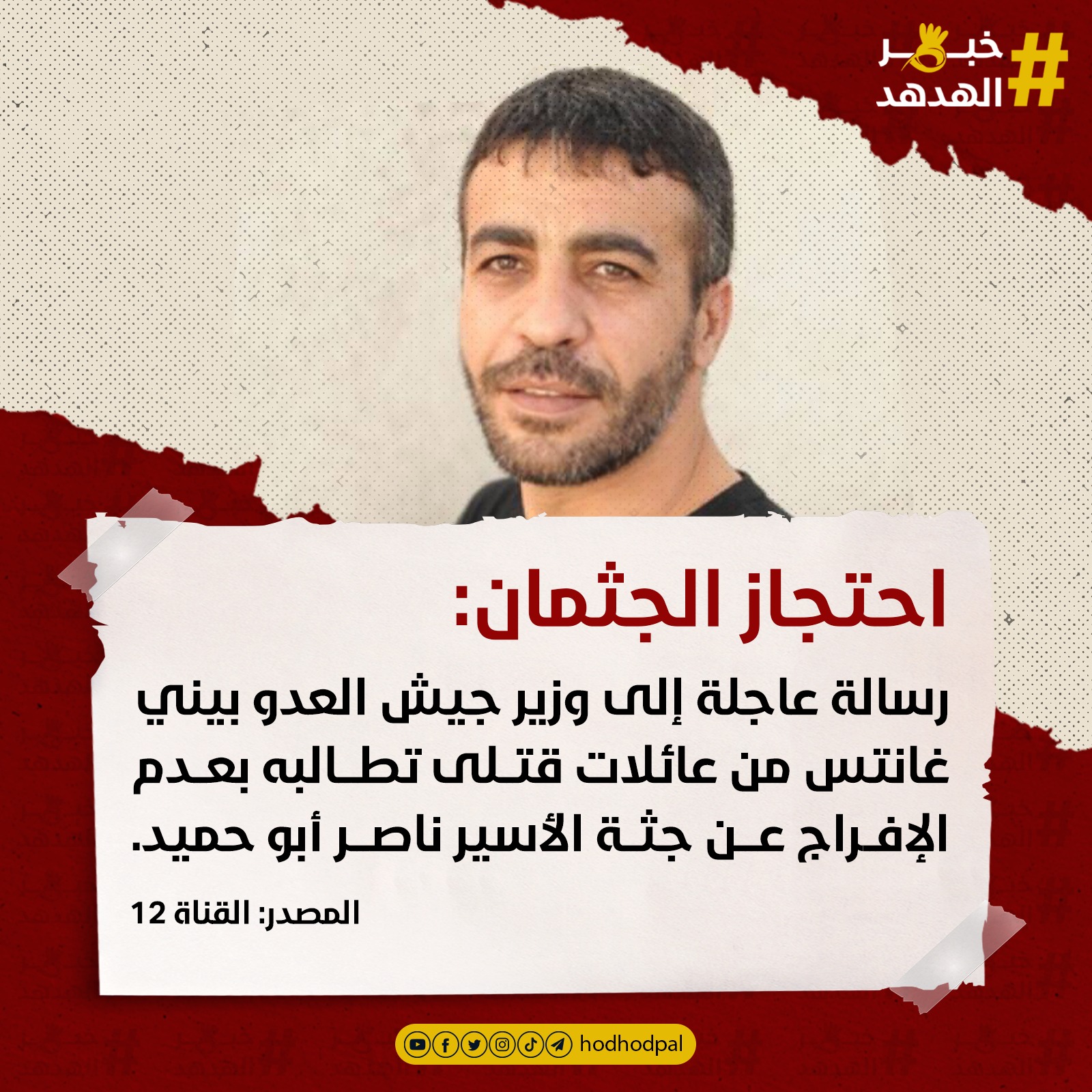 #خبر_الهدهد