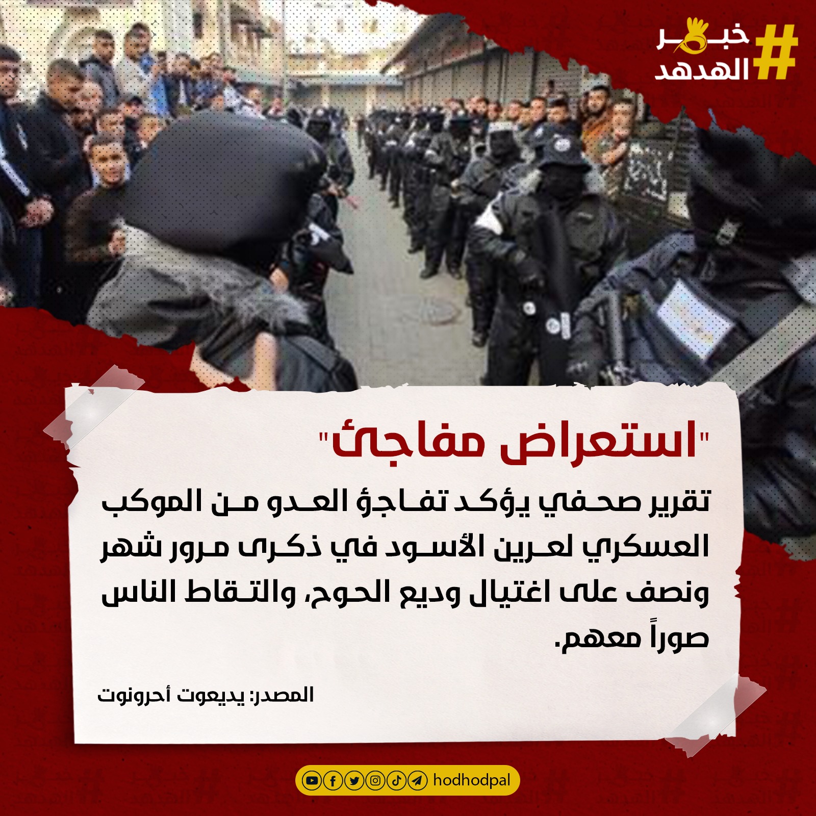 #خبر_الهدهد