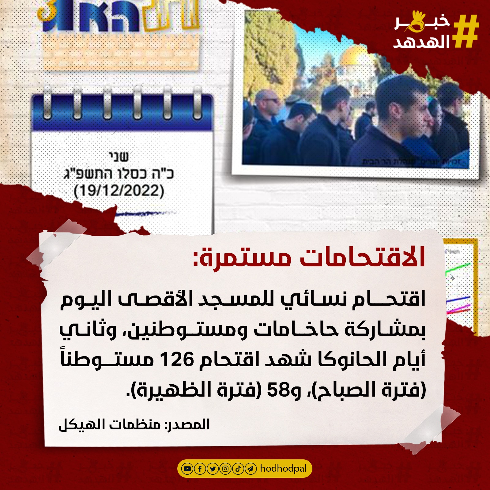 #خبر_الهدهد