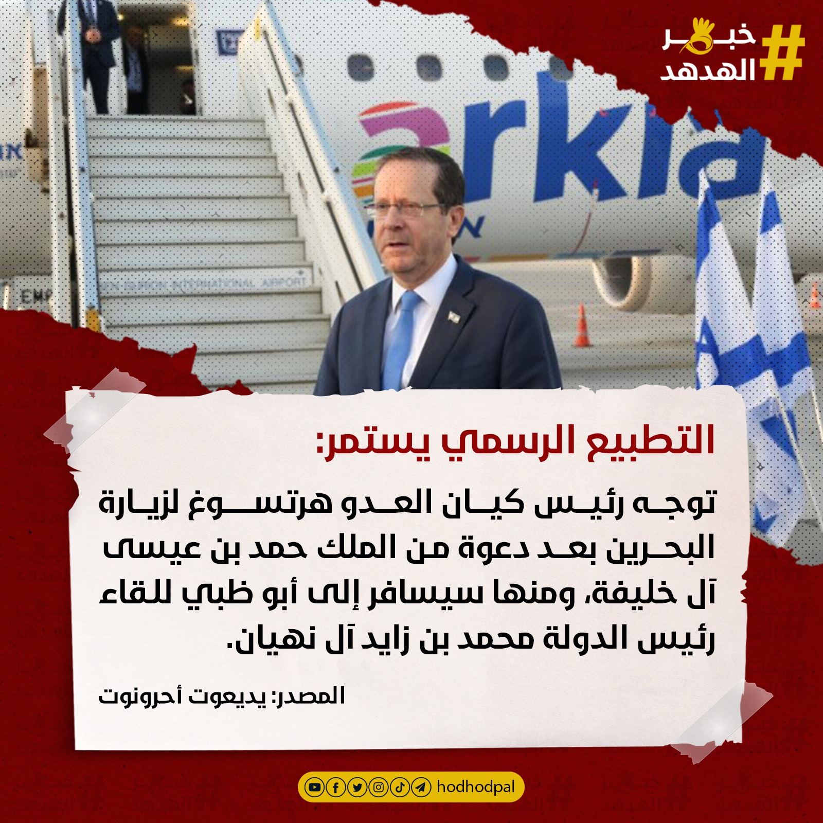 #خبر_الهدهد