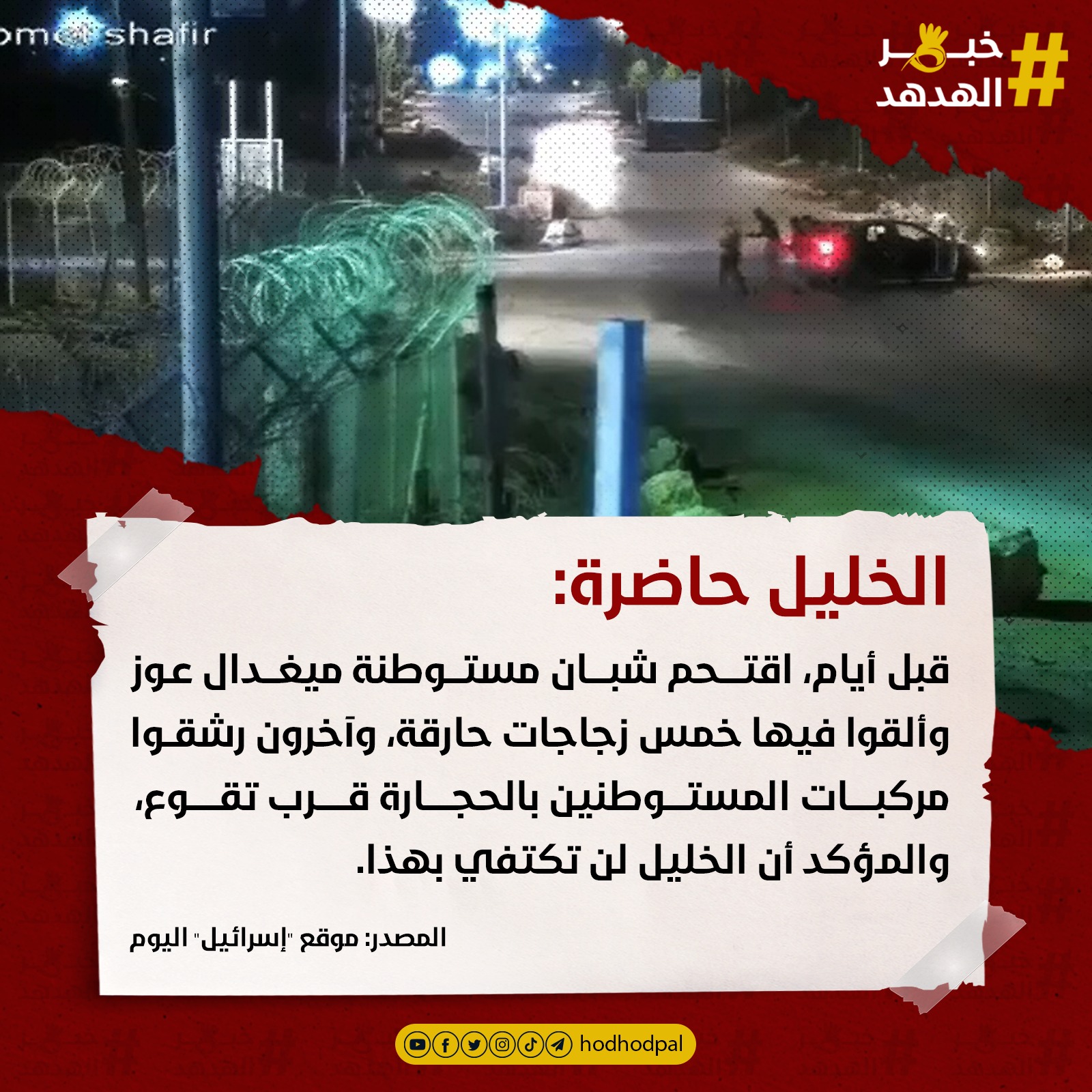 #خبر_الهدهد