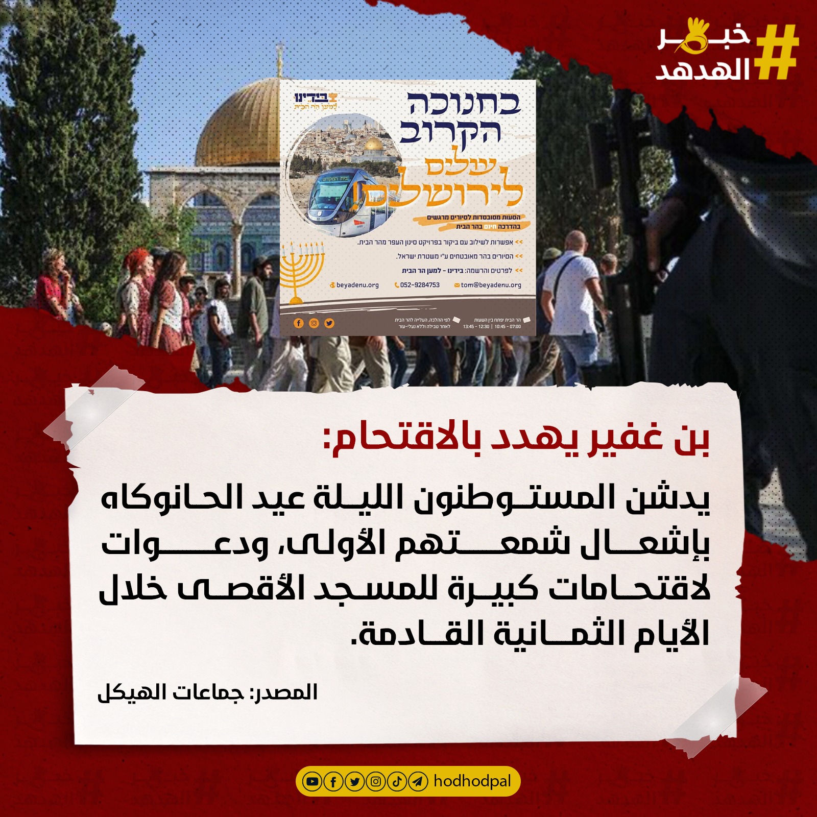 #خبر_الهدهد