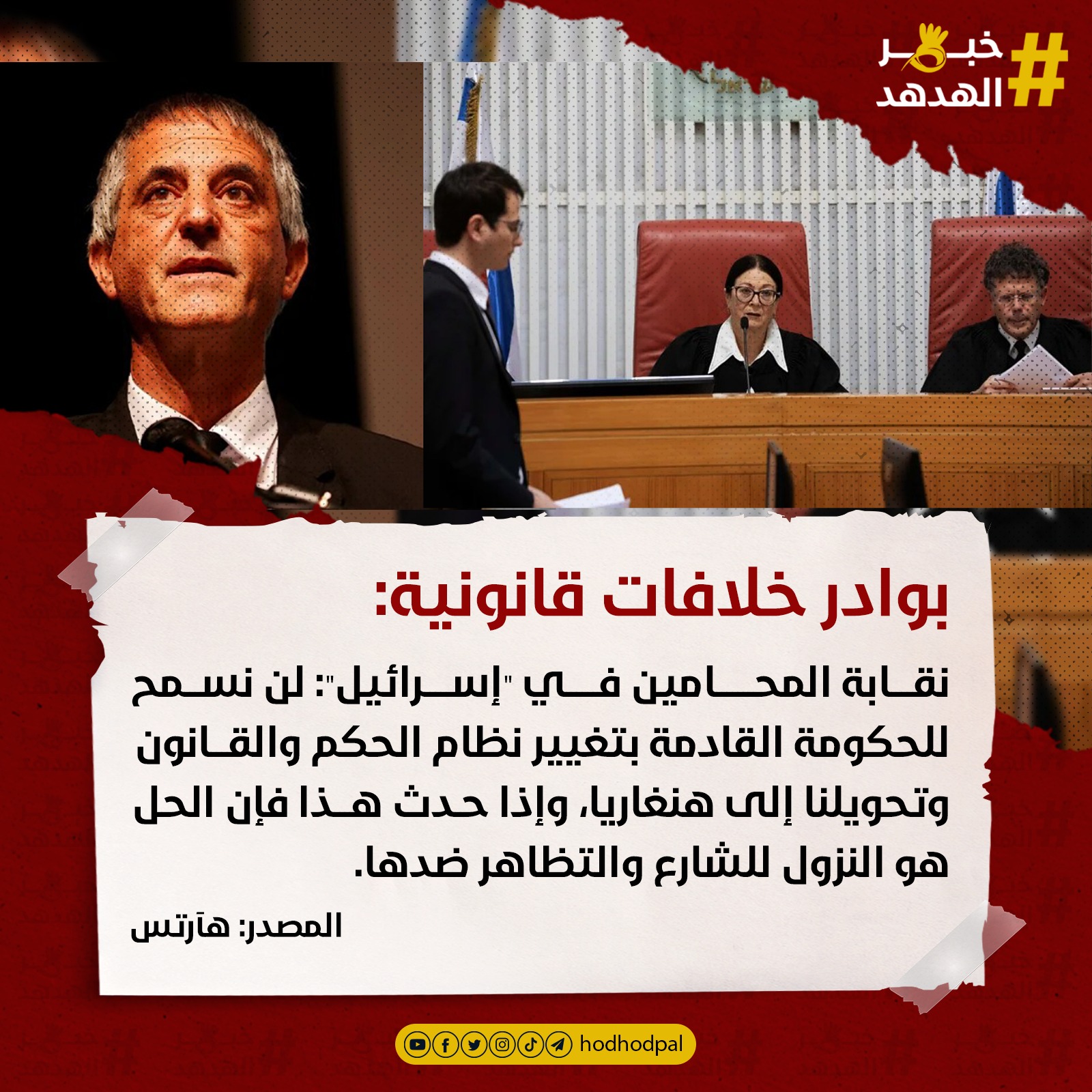 #خبر_الهدهد