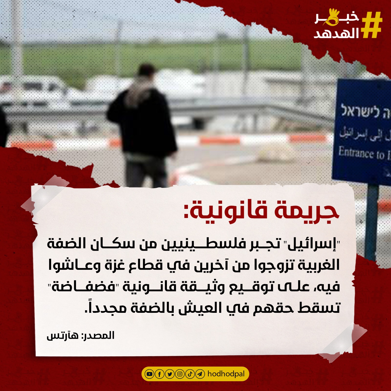 #خبر_الهدهد