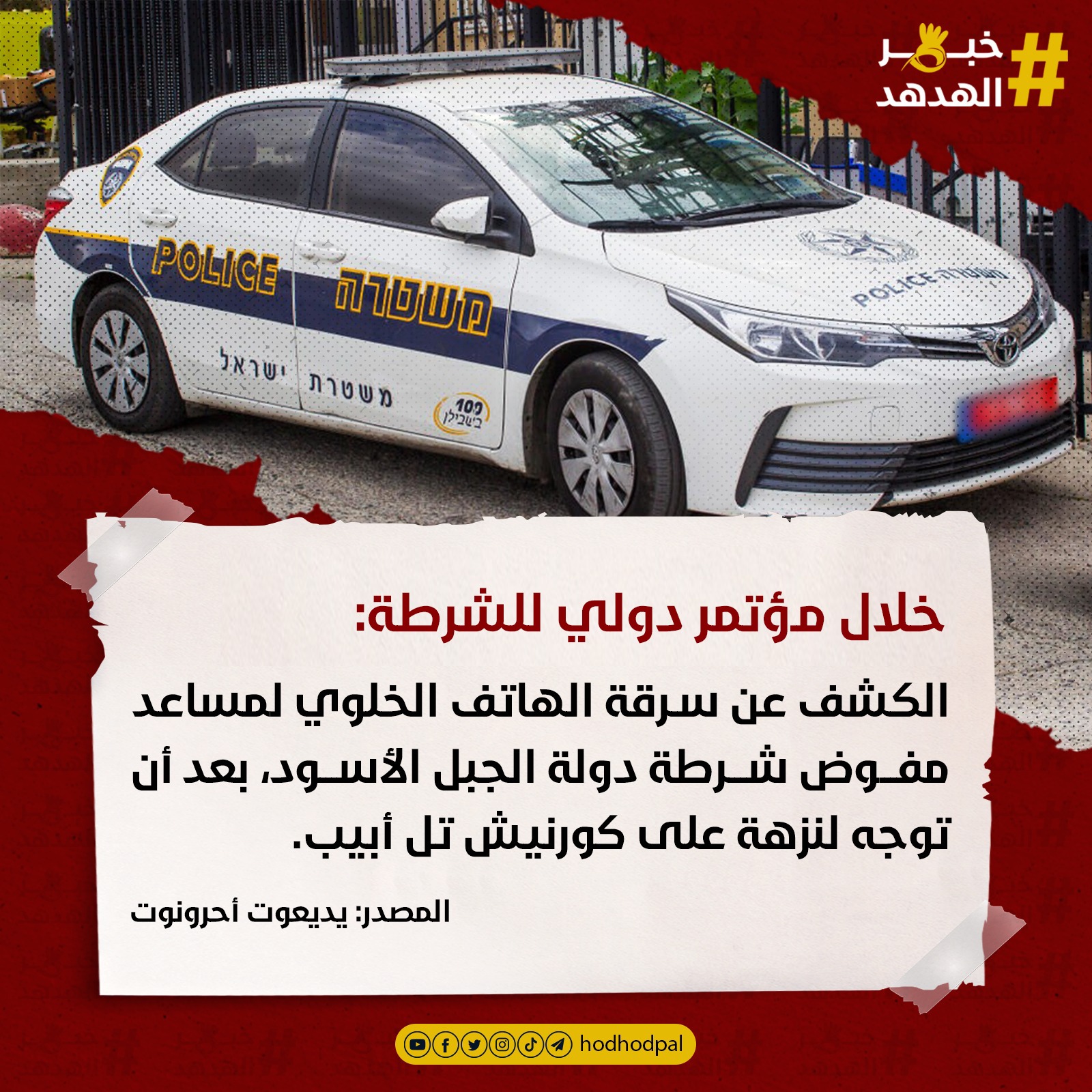 #خبر_الهدهد