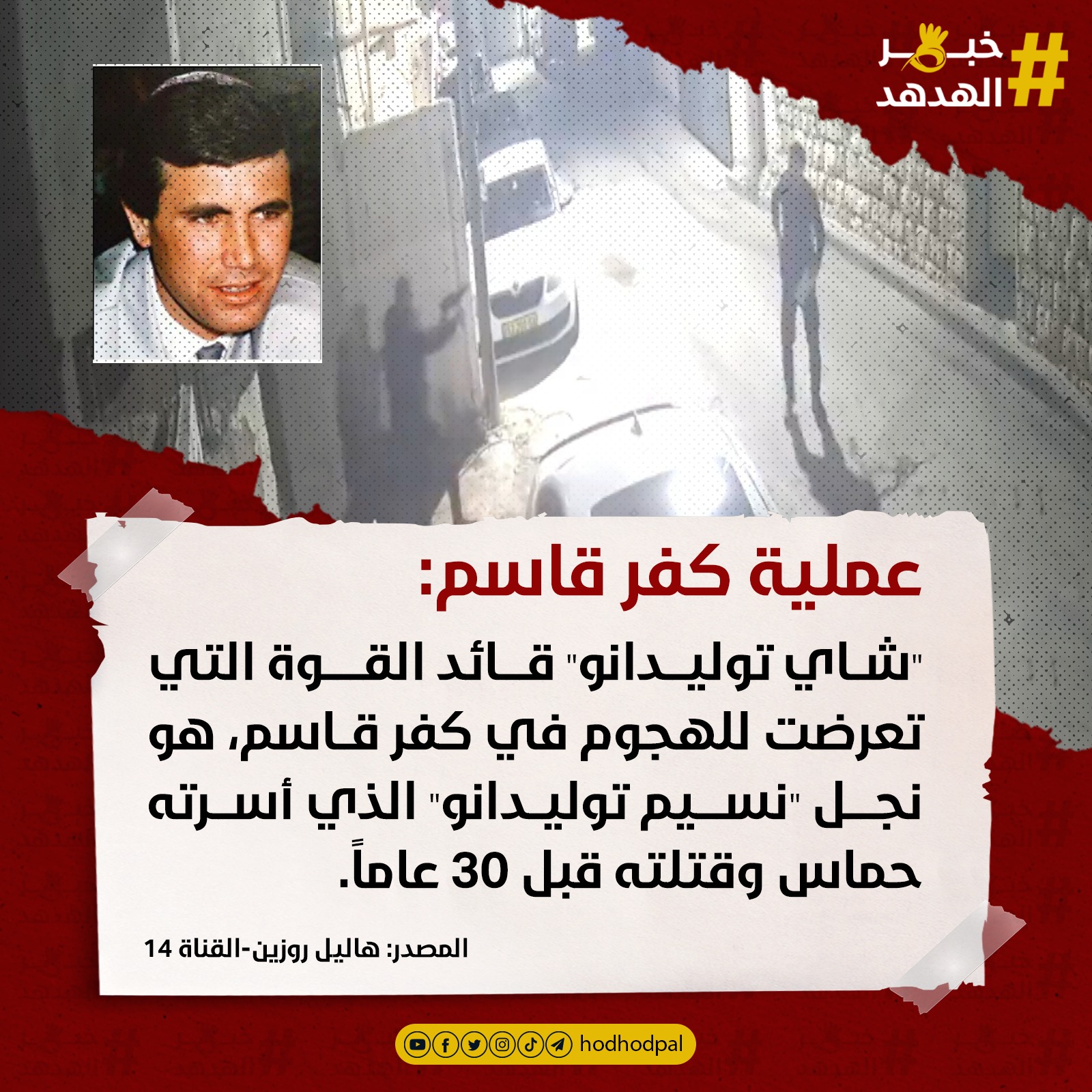 #خبر_الهدهد