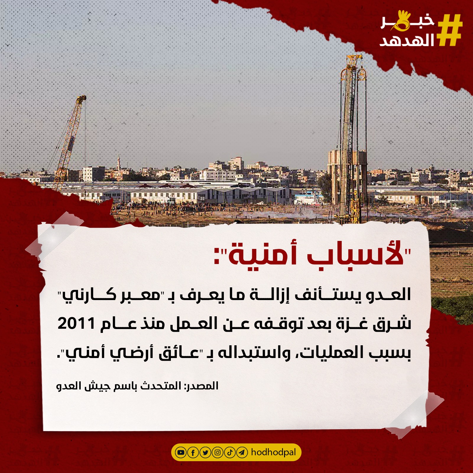 #خبر_الهدهد