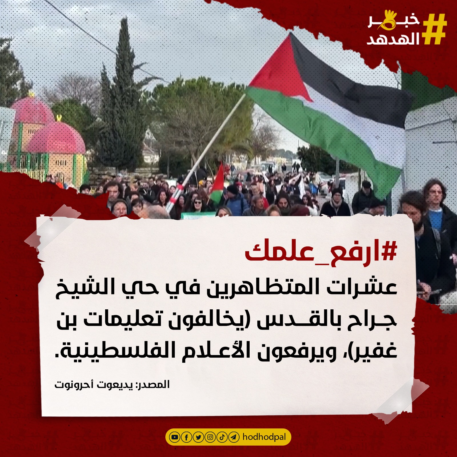 #خبر_الهدهد