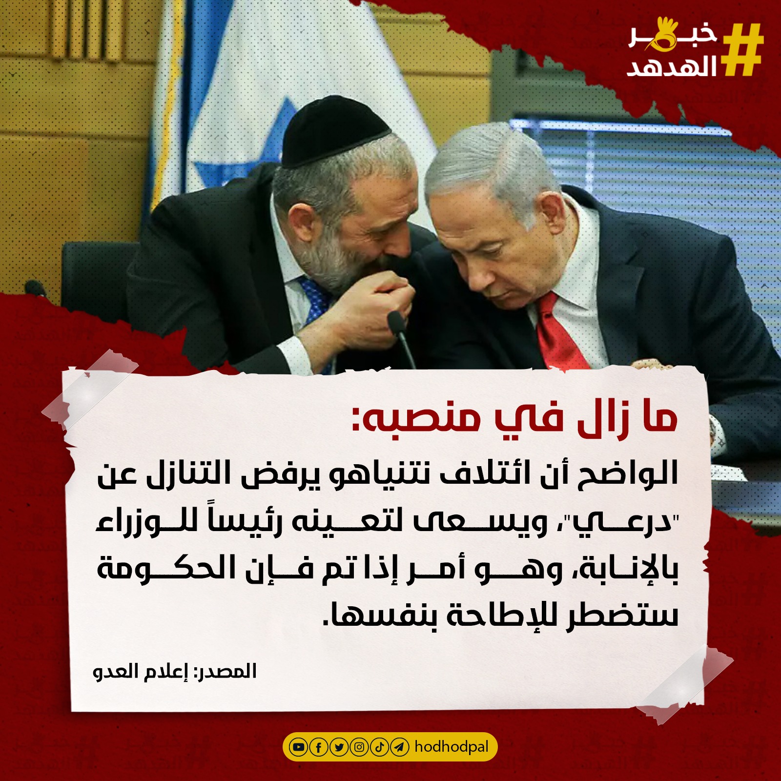 #خبر_الهدهد