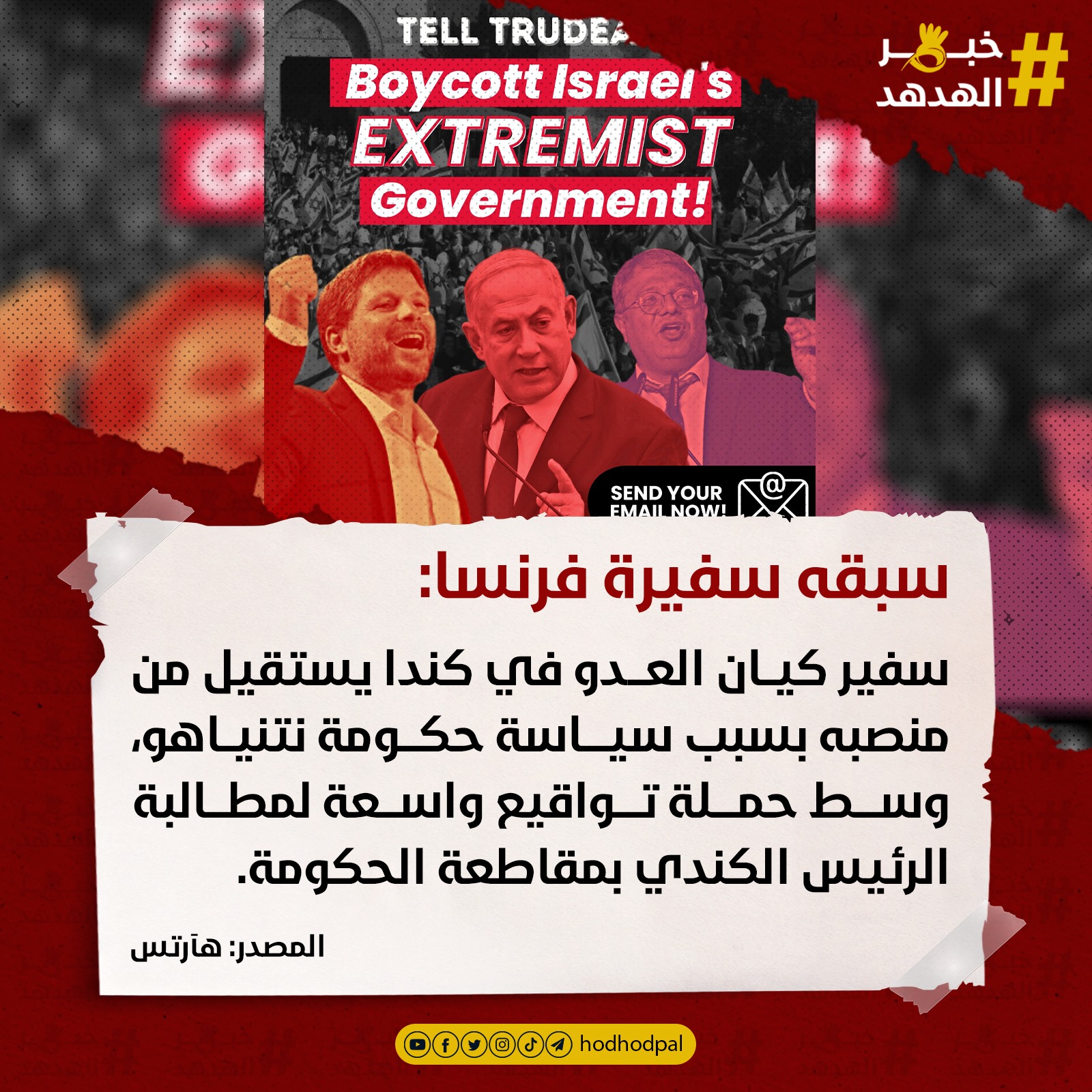 #خبر_الهدهد