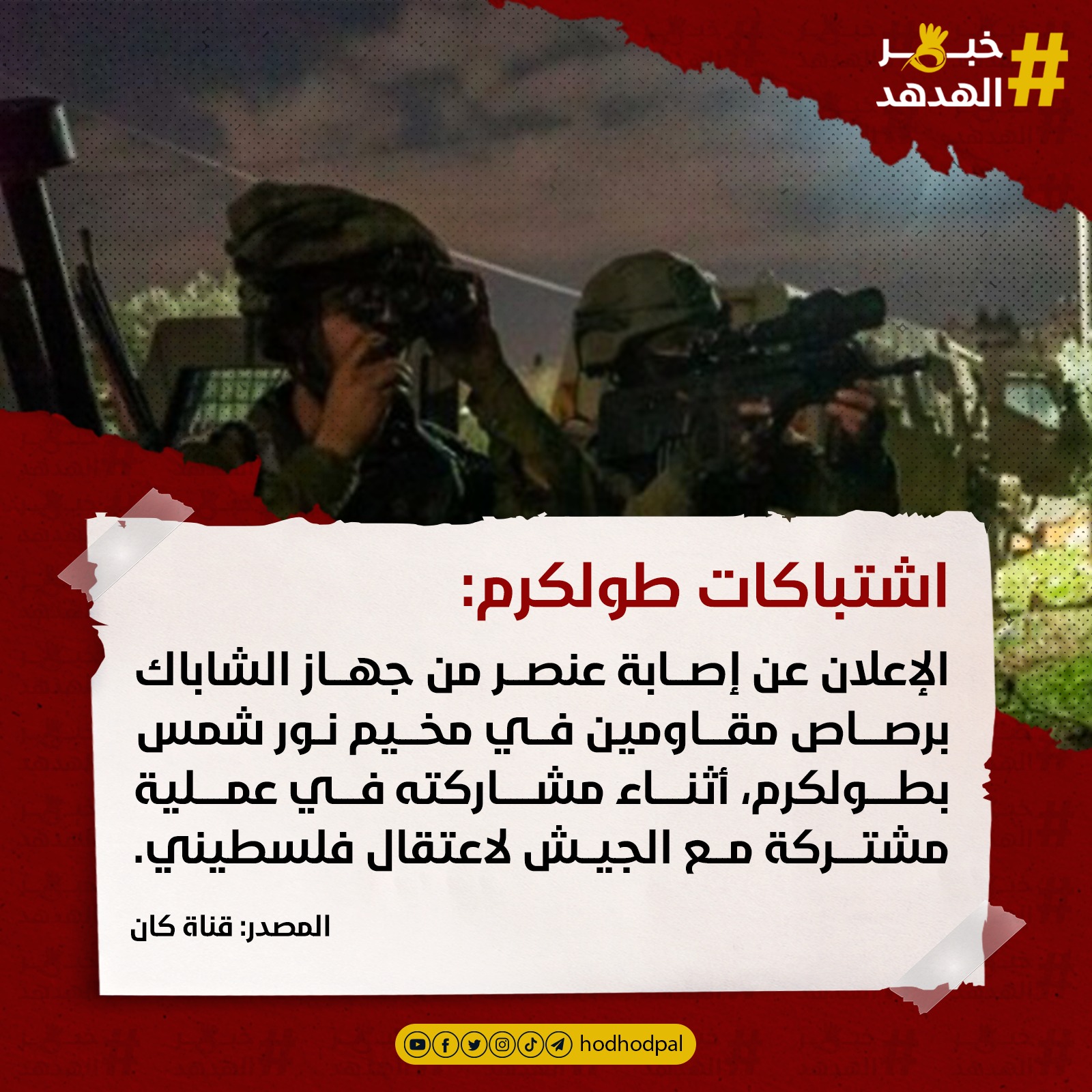 #خبر_الهدهد