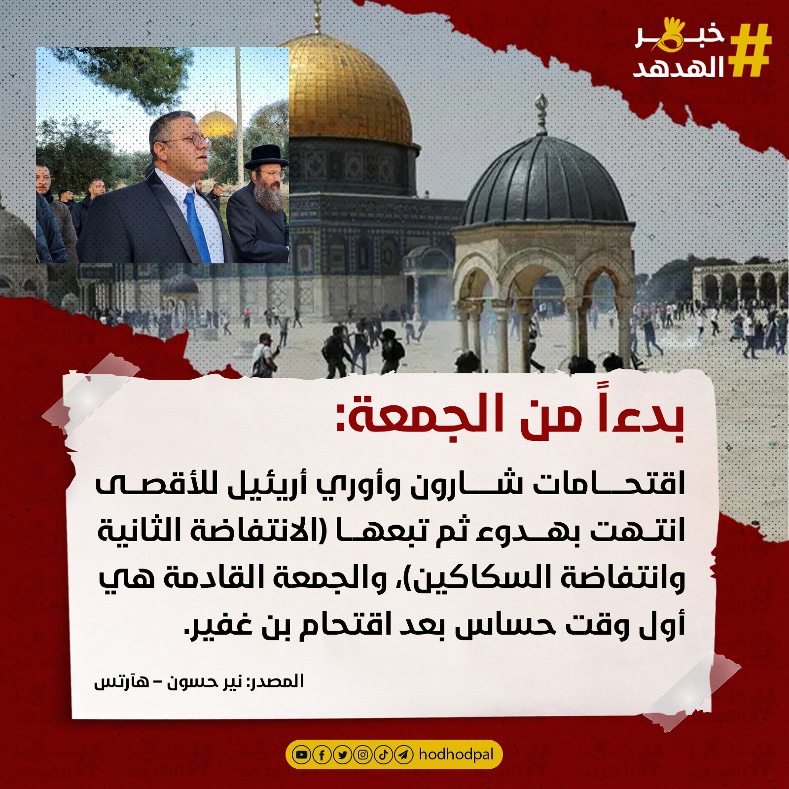 #خبر_الهدهد