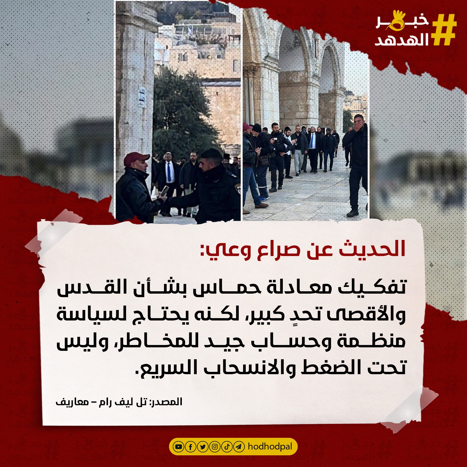 #خبر_الهدهد