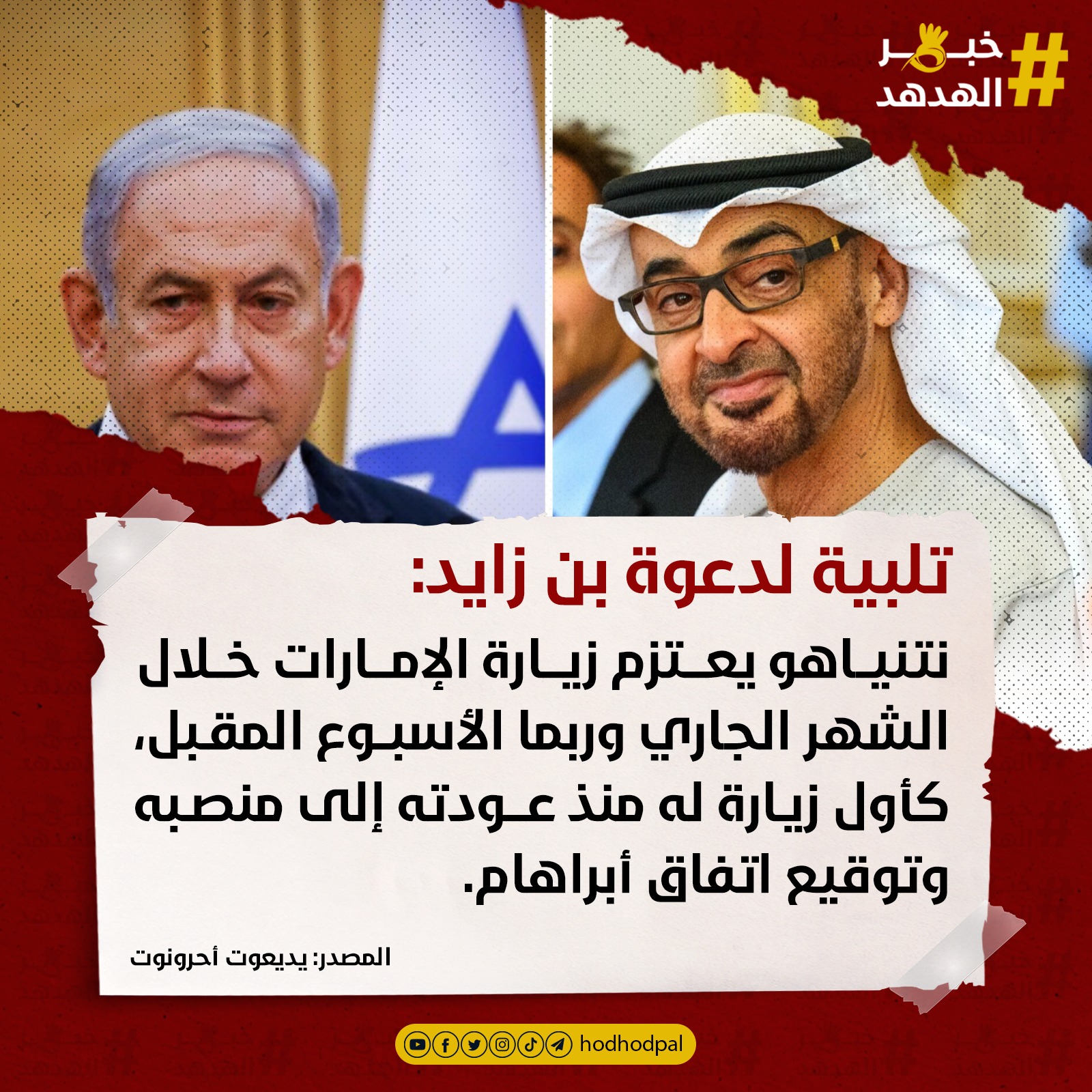 #خبر_الهدهد