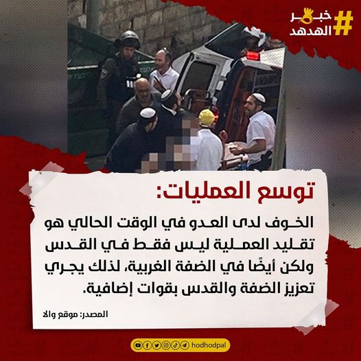 #خبر_الهدهد