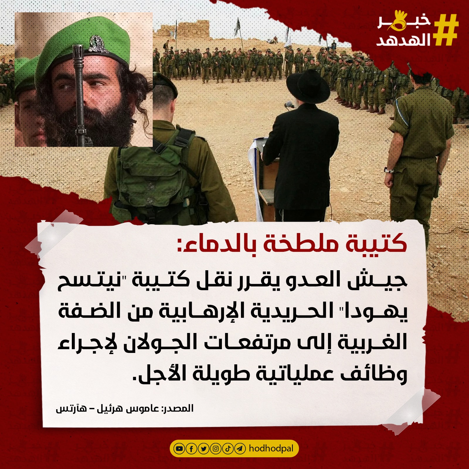 #خبر_الهدهد