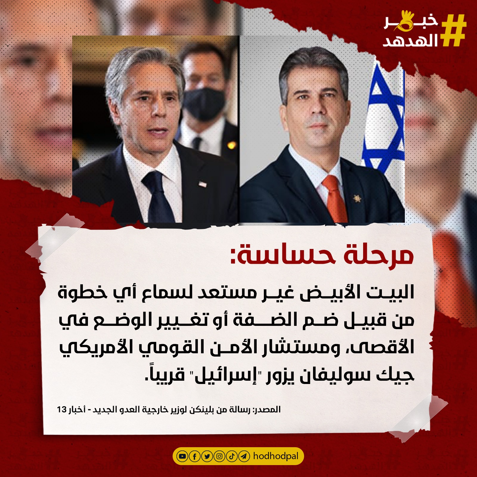 #خبر_الهدهد