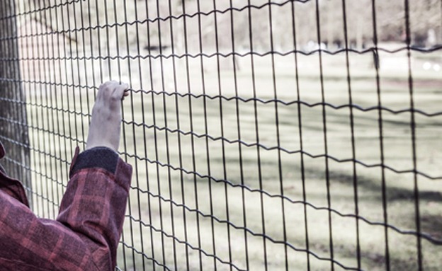 اعتقال مُدرس في مستوطنة "أرئيل" لاعتدائه جنسياً على طالبات