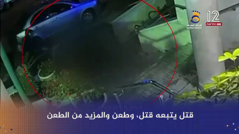 #شاهد: ارتفاع أعداد جرائم القتل في كيان العدو