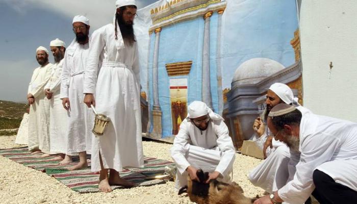 تدريبات على ذبح الأضاحي بالمسجد الأقصى