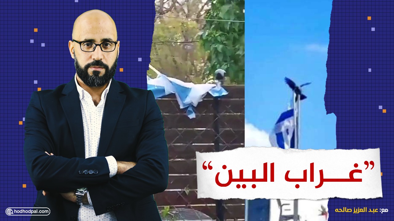 #شاهد: غراب البين