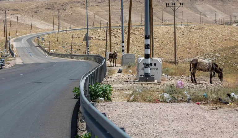 العدو يصادر أراضي الضفة ويحوّلها لفائدة المستوطنين