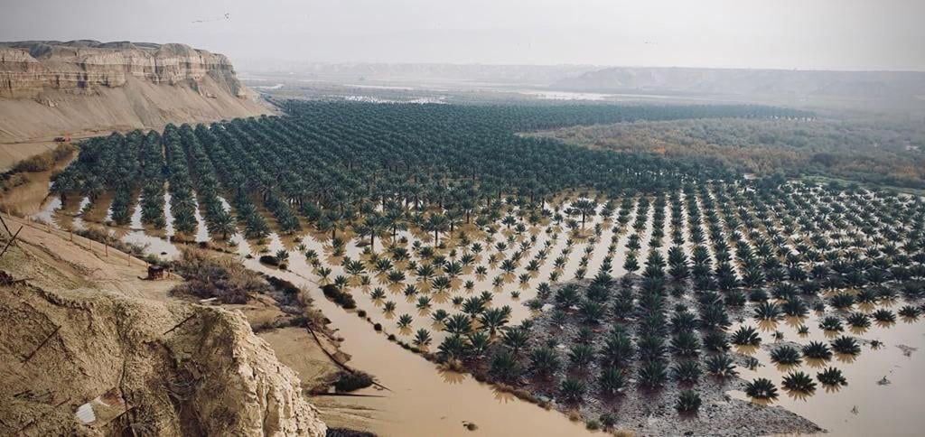 طرق وفنادق ومطار.. مخطط المستوطنين لـ"السيادة" في الأغوار