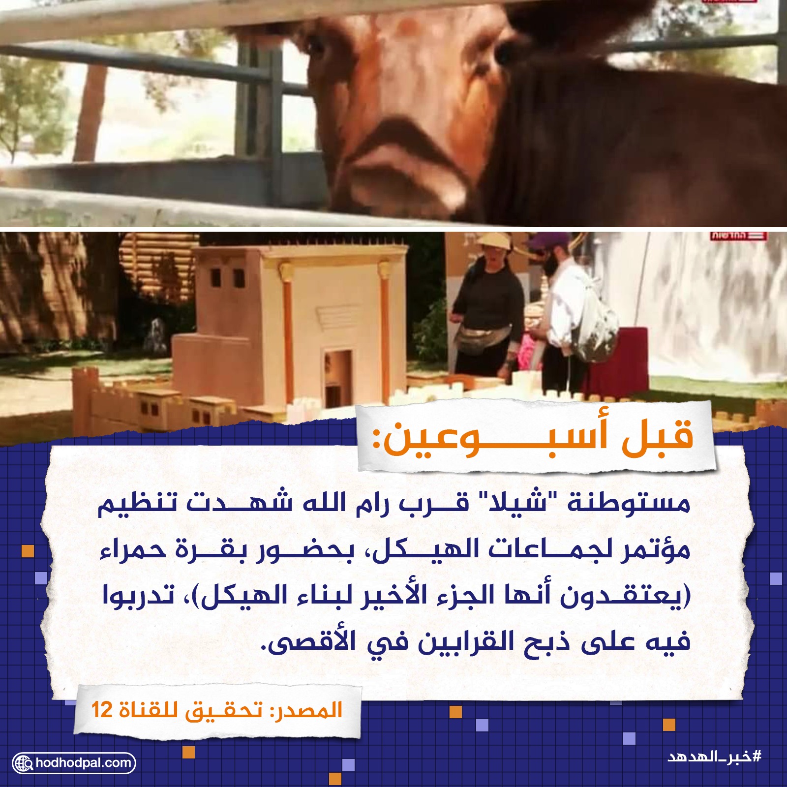 قبل أسبوعين