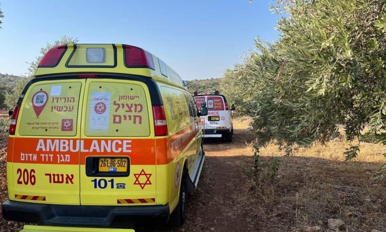 جريمة قتل مزدوج في الجليل بالداخل المحتل