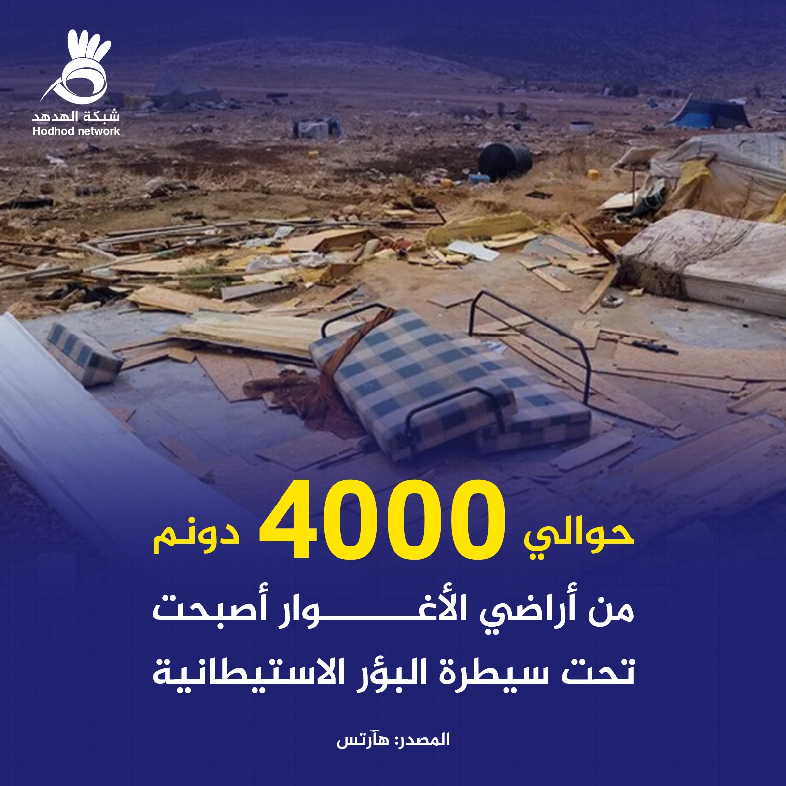 حوالي 4000 دونم