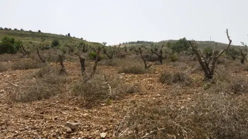 جبهة أخرى للمواجهة.. الإنذار العاجل الذي أرسل إلى وزير جيش العدو