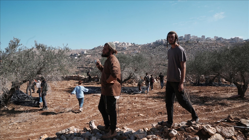 مستوطنون يهاجمون قاطفي الأراضي في الضفة الغربية، بينهم جندي احتياطي في إجازة ومدير مدرسة "إسرائيلية"