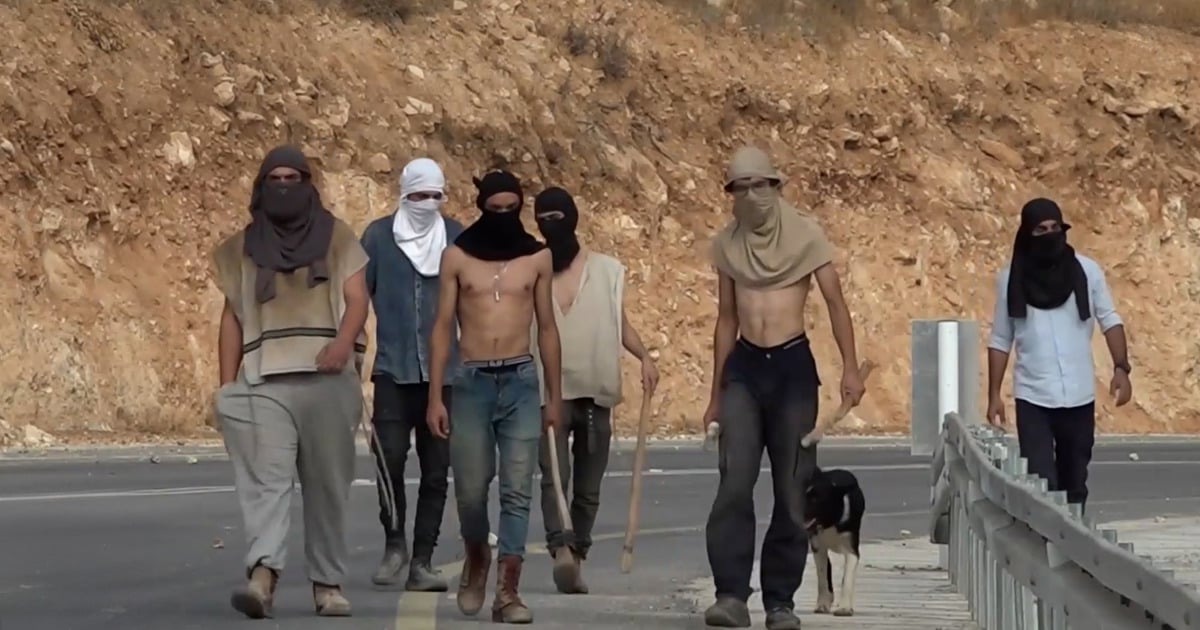 ثمانية أيام منذ الهجوم على موسم قطف الزيتون، ولم يتم القبض على أي مشتبه به.