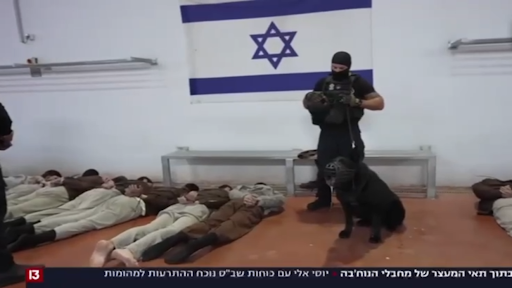 جحيم السجون الإسرائيلية: جوعٌ وقمعٌ وانهيارٌ إنساني بعد 7 أكتوبر