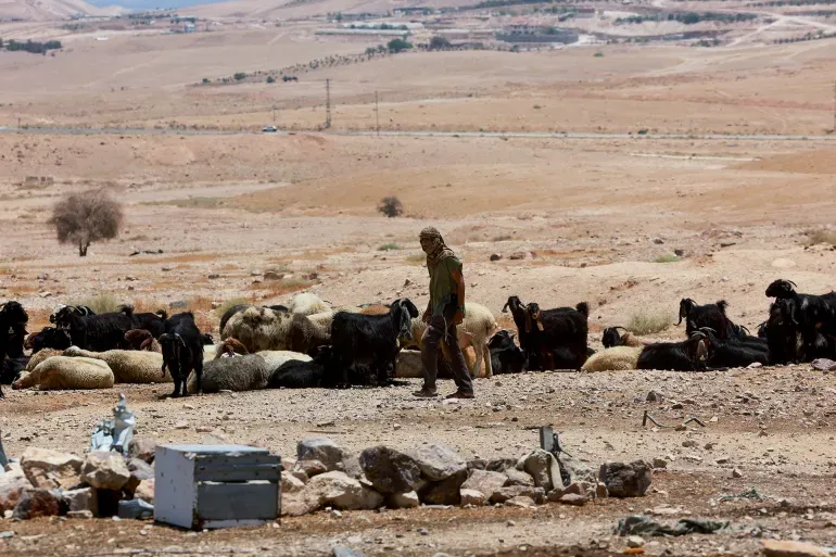 شهيدان بالضفة الغربية خلال التصدي لقطعان المستوطنين