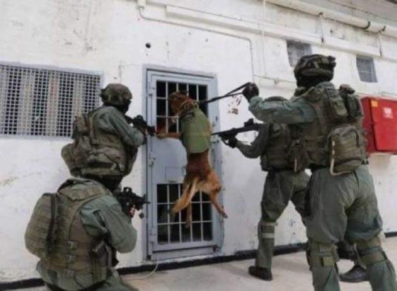 'Rimon' prisoners burn their cells in protest against cancerous devices