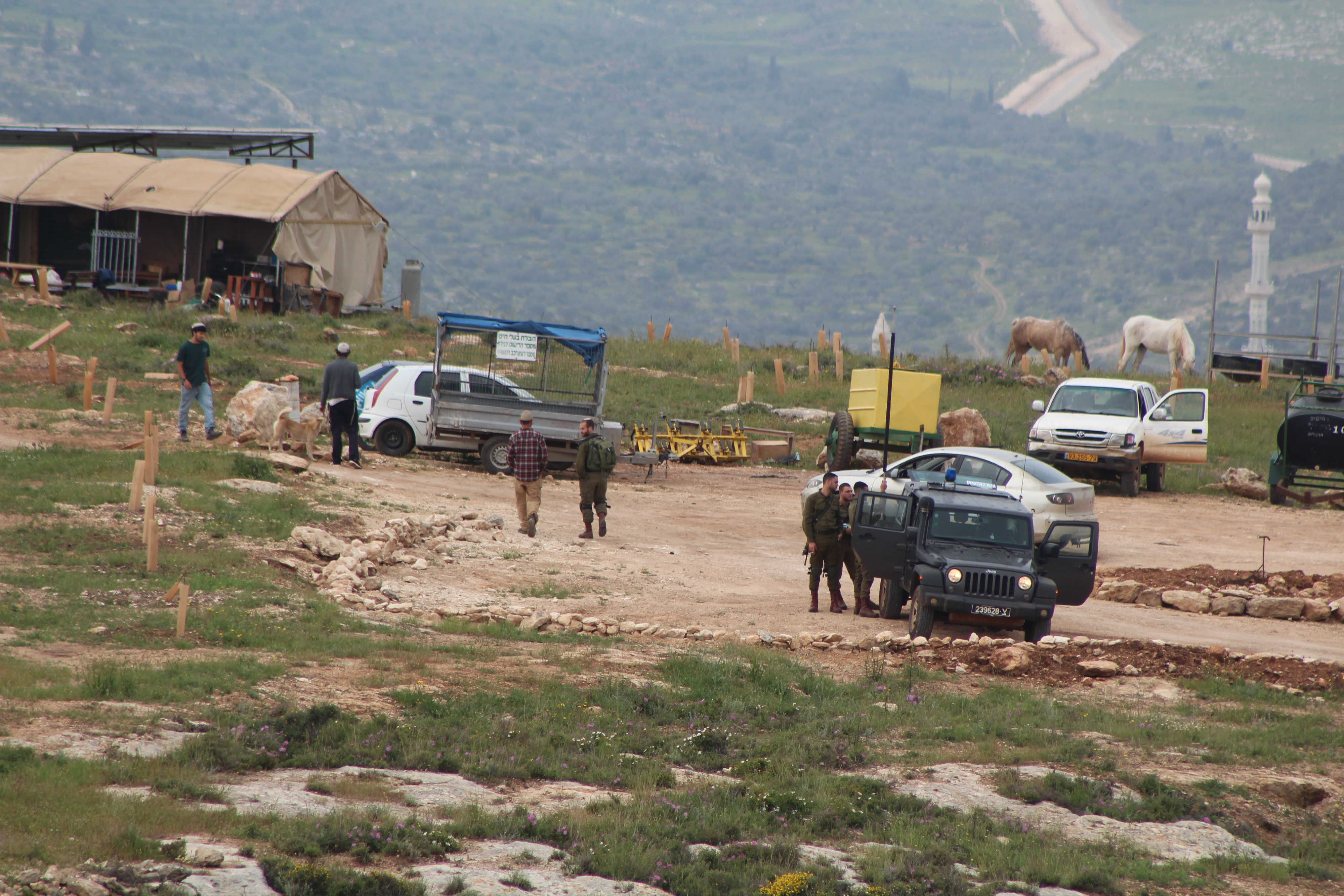 Land means life: Palestinians vow to battle illegal Israeli confiscations