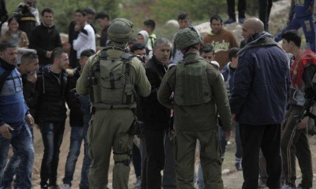 Israeli forces detain volunteers on an olive tree planting mission
