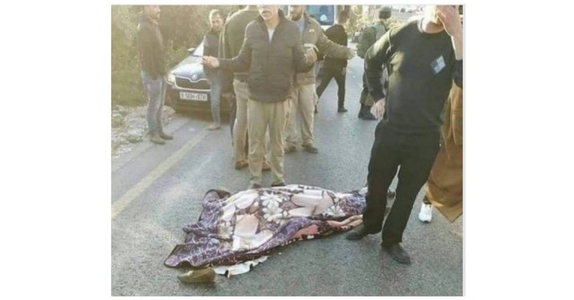 Palestinian woman hit by an Israeli truck, died on spot