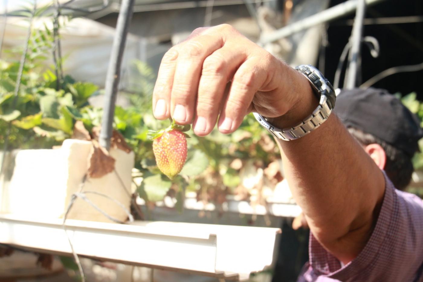 Farmer whose photo was used in a brochure promoting "deal of the century" denounces US 'propaganda'