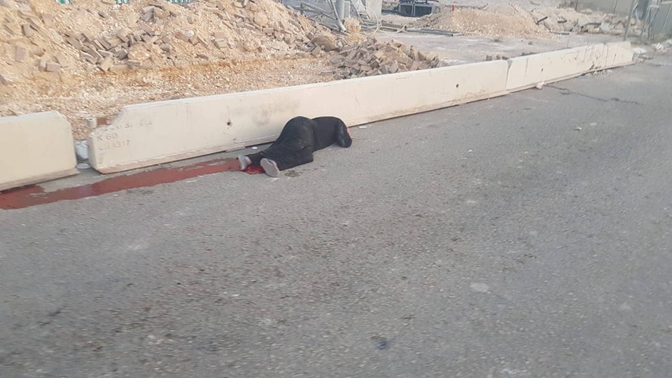 Palestinian lady executed by IOF at Qqalandiya identified