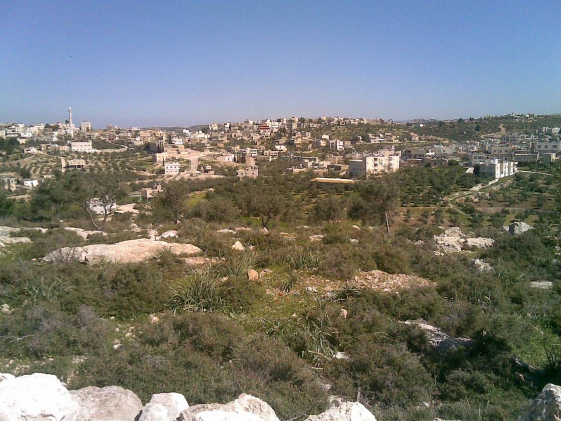 'Israel' confiscates 1500 Donums in Hebron