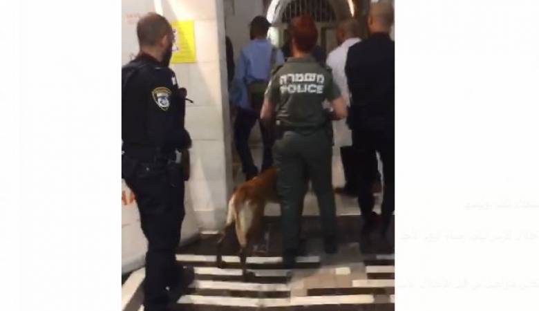 In Video| With police dogs.. Israeli police breaks into hospital in Jerusalem