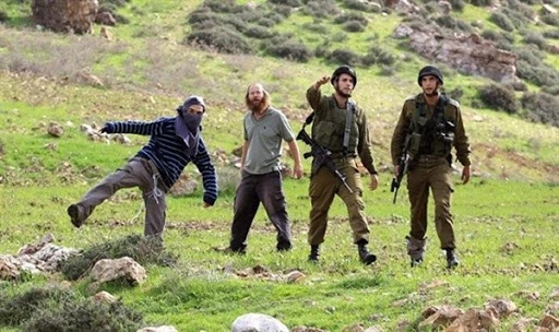 Settlers attack native Palestinians, damage property in Jordan Valley
